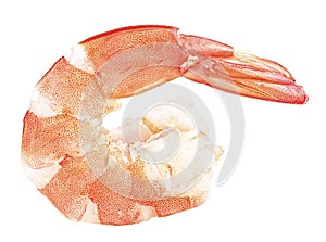 Cooked shrimp isolated on white background. Steamed tiger shrimp. Red boiled prawn