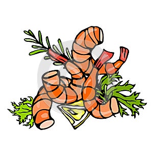 Cooked Shrimp or Prawn Cocktail, Herbs and Lemon. Isolated On a White Background Doodle Cartoon Vintage Hand Drawn