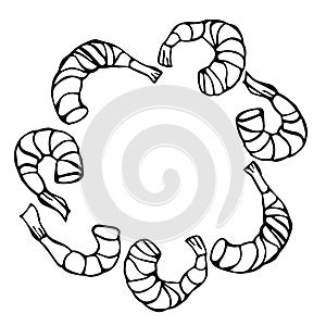 Cooked Shrimp or Prawn Cocktail Wreath. Isolated On a White Background Doodle Cartoon Vintage Hand Drawn Sketch