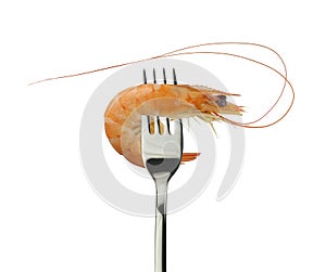 Cooked shrimp and Silver Fork on a white background.