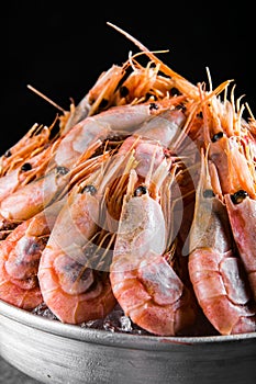 Cooked Shrimps in a metal bucket on a dark background