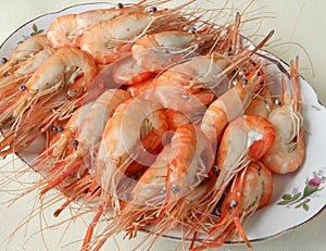 Cooked shrimps with shells