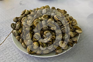 Cooked snails or escargot