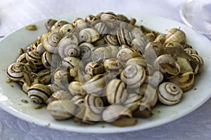 Cooked snails or escargot close up