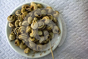 Cooked snails shells or escargot