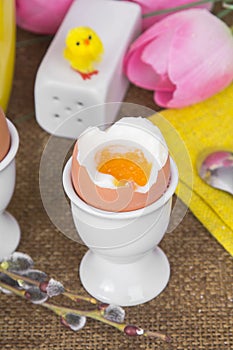 Cooked sof tboiled eggs