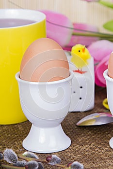 Cooked sof tboiled eggs