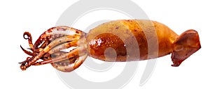 Cooked squid close-up