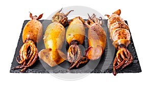 Cooked squid close-up