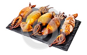 Cooked squid close-up