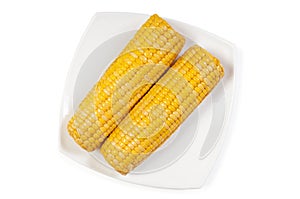Cooked sweet cob corn on dish isolated