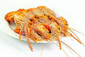 Cooked tiger prawn
