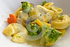 Cooked Tortellini in White Bowl, Agnolotti, Cappelletti, Dumplings, Stuffed Pasta, Tortelloni, Ravioli, Cappelletti