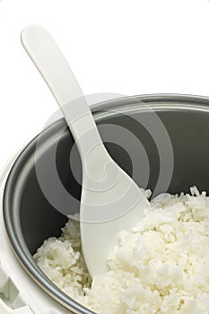 Cooked white rice in cooker pot