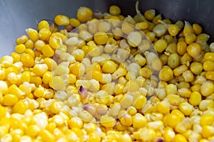 Cooked yellow corn grains, organic product to accompany hot drinks, atoles in Guatemala, Central America. Zea mays photo
