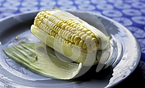 Cooked yellow mealie on a plate