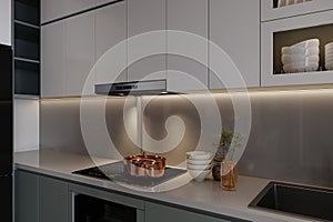 Cookers on the electric stove, ceramic bowl, and plants into a pot on the kitchen island