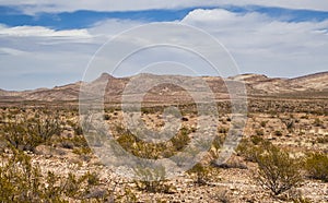 Cookes Range wilderness near Deming, New Mexico