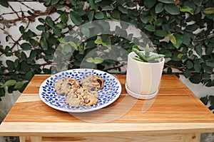 Cookie, cooky or almond cookie or chocolate cookie and Sansevieria boncellensis