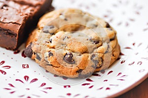 cookie, cooky or chocolate chip cookie or chocolate cookie