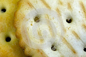 Cookie cracker closeup