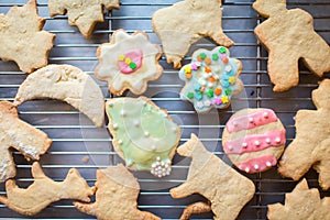 Cookie cutter sugar cookies with colorful frostings cooling on a rack