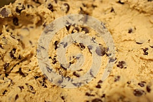 Cookie Dough