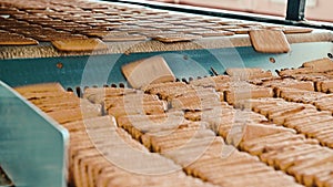 Cookie making factory process conveyor