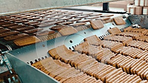 Cookie making factory process conveyor