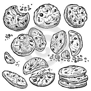 Cookie vector hand drawn illustration. Chocolate chip cookies with crumbs, bitten and whole. Homemade biscuits.