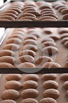 Cookies at the bakery