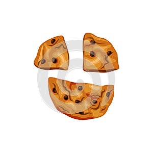 Cookies with chocolate chips broken in half. Bitten cookies. Vector cartoon illustration on a white isolated background.