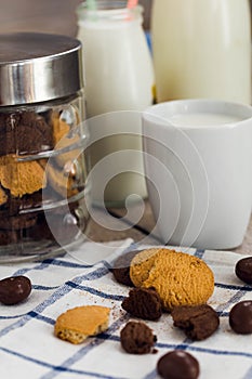 Cookies, chocolate chips and a cup of milk