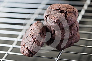 Cookies chocolate fresh from the oven on a wire rack steel.
