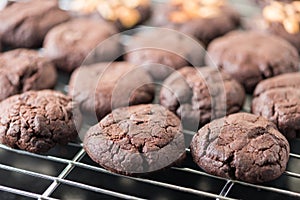 Cookies chocolate fresh from the oven on a wire rack steel.