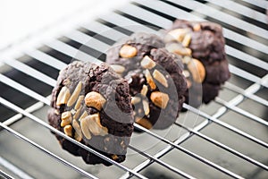 Cookies chocolate fresh from the oven on a wire rack steel.