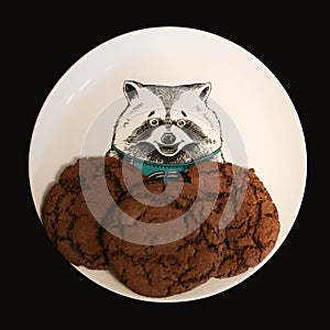 Cookies on funny plate with raccoon