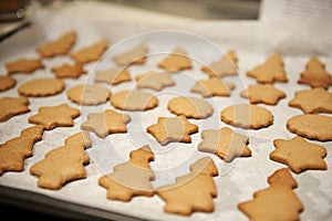 Cookies just came out of the oven