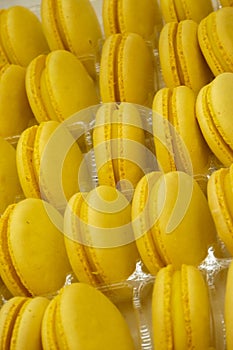 Cookies, macaroni cookies colored, several pieces