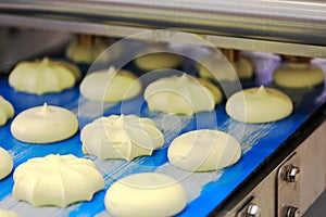 Cookies manufacturing process photo