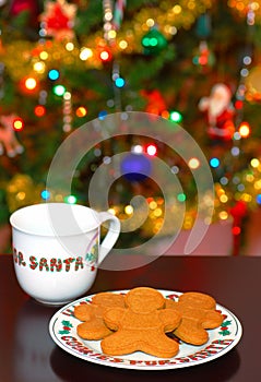 Cookies and Milk for Santa