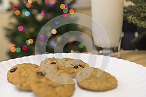 Cookies for Santa Claus