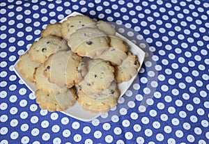 Cookies with vanilla and chocolate with