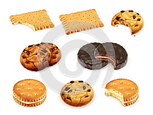 Cookies vector set photo