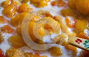 Cooking apricots and peach jam