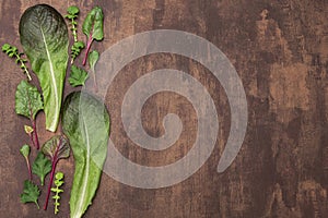 Cooking background with fresh green herbs, various lettuce leaves on brown background. Top view, copy space, flat lay
