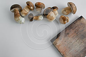 Cooking Boletus edible mushrooms, white background, space for text