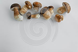 Cooking Boletus edible mushrooms, white background, space for text