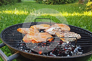 Cooking with charcoal barbecue grill. Chicken breast and marinated pork fillet steaks on red hot embers