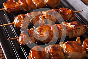 Cooking chicken yakitori of grilled. closeup horizontal